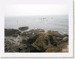 1604-Lizard Point * 800 x 600 * (70KB)